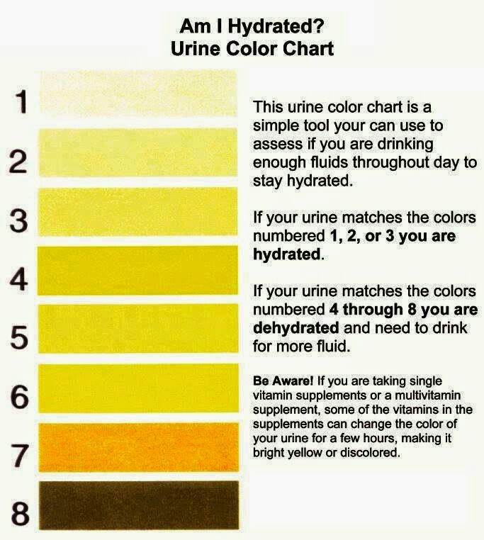 How Much Water Should I Drink Chart